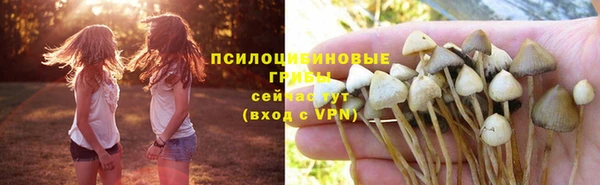 трава Армянск