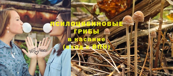 дурь Баксан