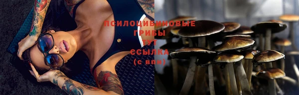 дмт Россошь
