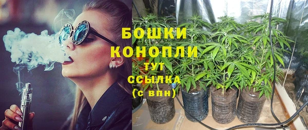 a pvp Аркадак