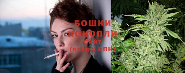 соль ск Рославль