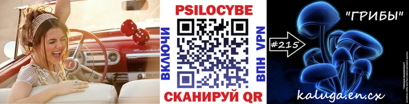 Псилоцибиновые грибы MAGIC MUSHROOMS  Балтийск 
