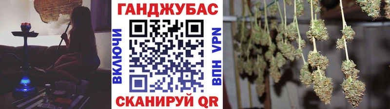 Конопля Ganja  Балтийск 